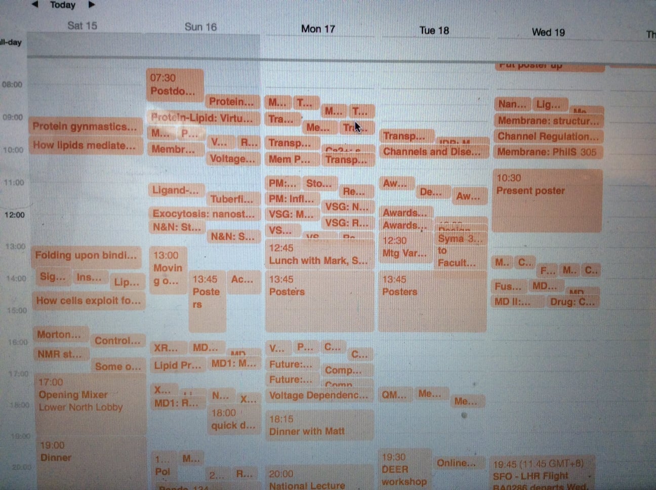 calendar